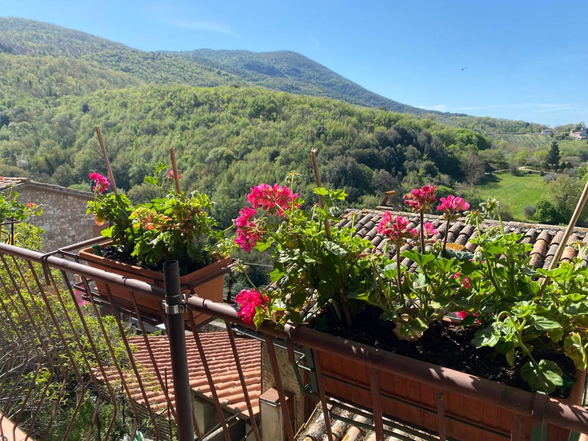 Casa Nonna Velia Villa Portaria Екстериор снимка
